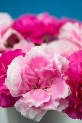 カーネーションの花