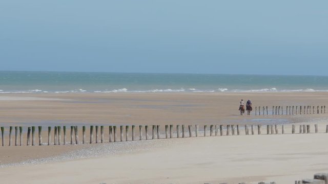 chevaux sur une plage déserte