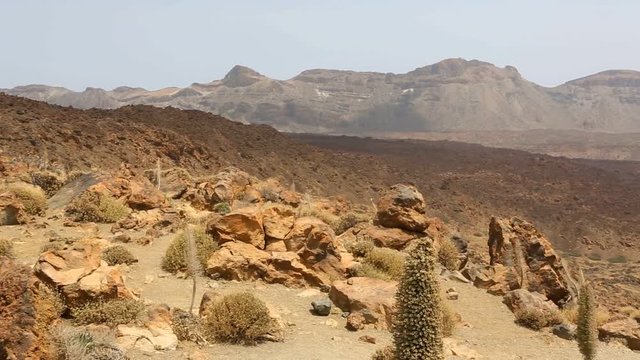 Teide National Park in Tenerife at Canary Islands of Spain