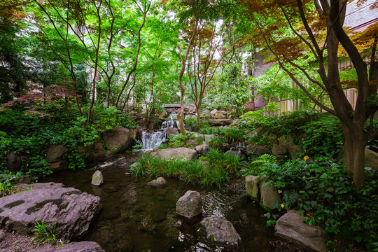 Красивый зеленый сад для медитации возле чайных домов в Токио