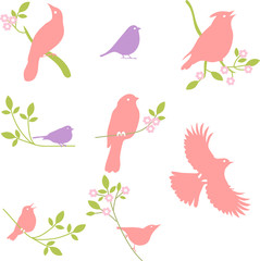 Vector Collection of Bird Silhouettes, colored silhouettes. 