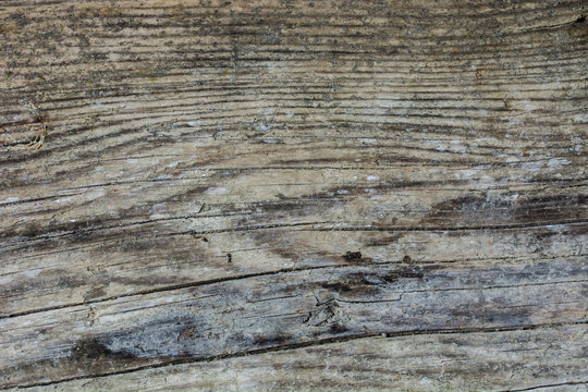 wood board texture