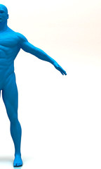 Busto, Anatomia Umana, Scultura