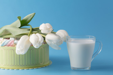 marshmallow, present box and white tulip on the blue