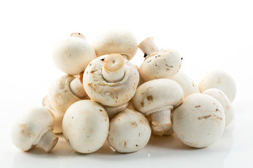 Champignons, weißer Hintergrund