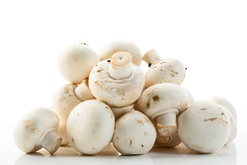Champignons, weißer Hintergrund