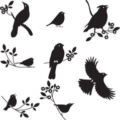 Vector Collection of Bird Silhouettes - obrazy, fototapety, plakaty