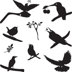 Vector Collection of Bird Silhouettes