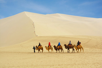 Group of tourists are riding camels in the desert at Mingsha Mountain in Dunhuang, China.