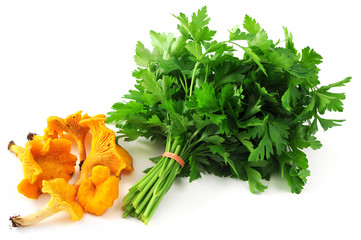 golden chanterelles mushrooms and bunch of parsley on white isol