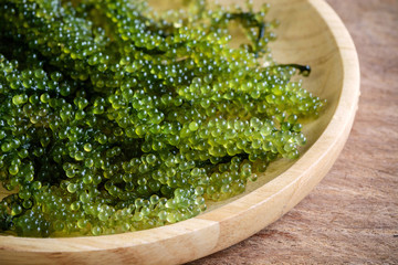 Sea Grapes (Caulerpa Lentillifera) seaweed © Kittiphan
