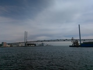 橋と海
