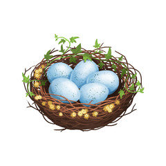 Icon of bird nest with blue easter eggs hand-drawn in watercolor style on white isolated background