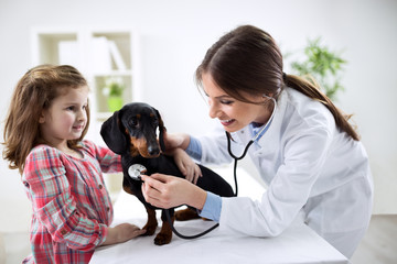 Girl at a veterinarian examining his dog