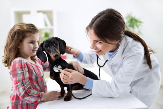 Beautiful child with her pet at the veterinary doctor