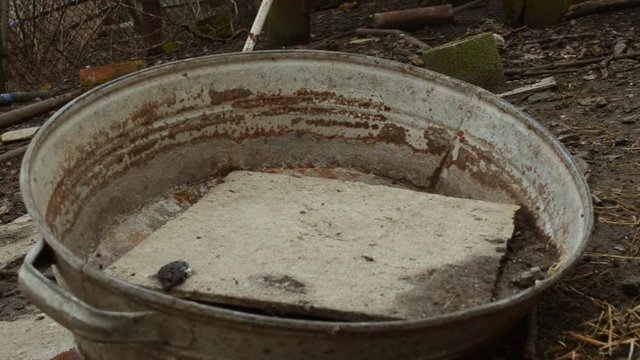 in Iron Coated With Rust Bucket Lying Metal Plates