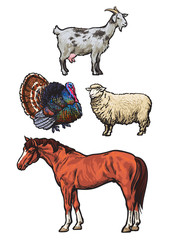 Farming, pets, set of cattle from a village, horse, goat, turkey, sheep, Set of vector colored animals isolated on a white background, animal sketch hand-drawn, realistic animal products for sale