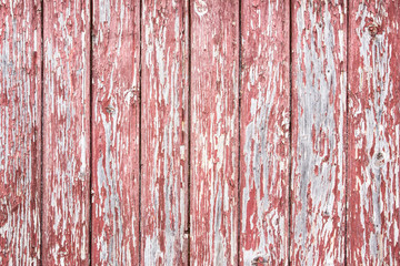 Obraz premium Red peeling paint. Wooden desk grunge background.