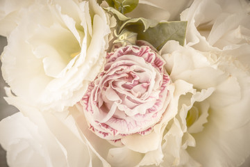 Obraz premium Tender flowers background horizontal