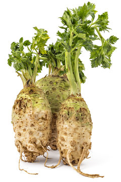 Three fresh organic celery roots with leaves on a white background