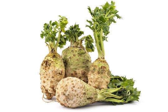 Four fresh organic celery roots with leaves on a white background