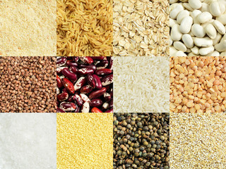 Various types of cereals and grains - obrazy, fototapety, plakaty
