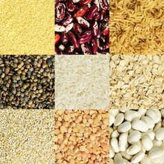 Various types of cereals and grains