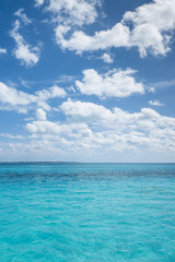 white tropical beach in the caribbean sea
