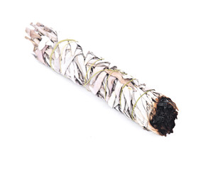 Sage smudge stick separated on white background
