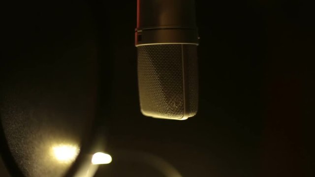 Professional studio microphone for sound recording