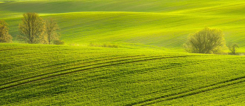 panorama wiosennego pola