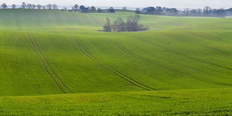 wiosenne pole   © Mike Mareen