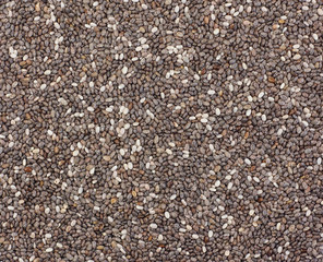 Raw organic chia seeds