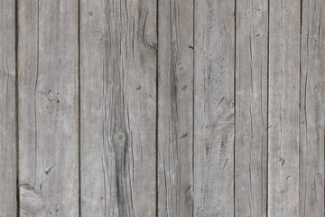 A wall of pine planks.