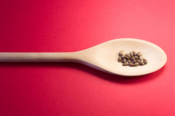 Wooden spoon with apple seeds on red paper background 