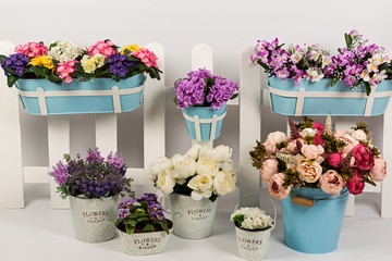 Macetas con flores variadas y valla de madera.