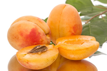Ripe apricots with reflection