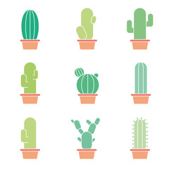 Cactus abstract collection in vector illustration