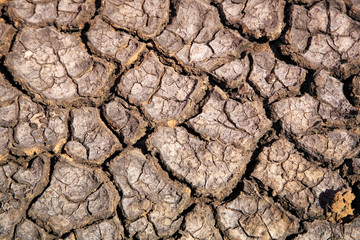 Dried earth