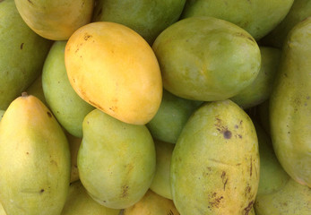 Green And Yellow Mango