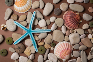 Background of pebbles, different shells and starfishes