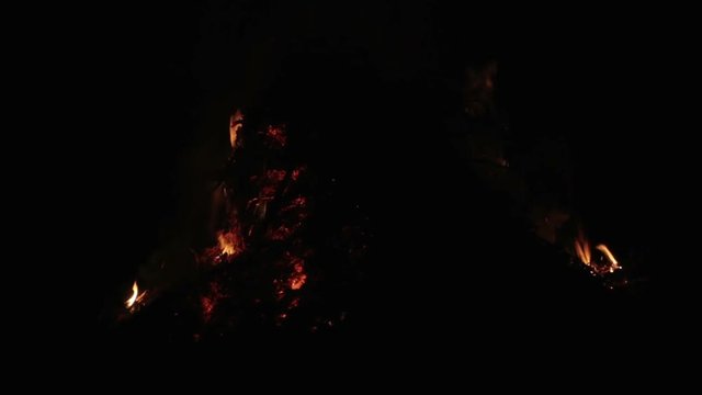 End of the forest fire at night. Fire through the trees at night.
