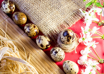 Blooming morello cherry branch,  quail eggs, hay,  bamboo pad and hemp fabric on red paper background 