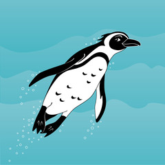 Obraz premium Cute cartoon african penguin swimming in the sea.