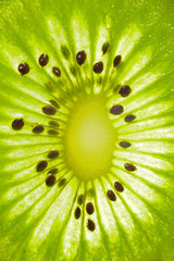 Kiwi Fruit slice