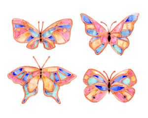 Fototapeta premium Watercolor butterfly summer 