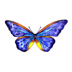 Fototapeta premium Watercolor butterfly summer
