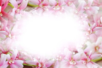 Fototapeta na wymiar beautiful pink flower border abstract bokeh on white background in pastel tone 