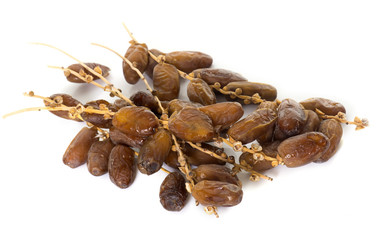 dried date palm