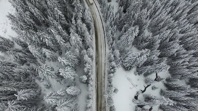 Aerial footage of a white frosty forest with a snowy curving road in the middle of the winter.
